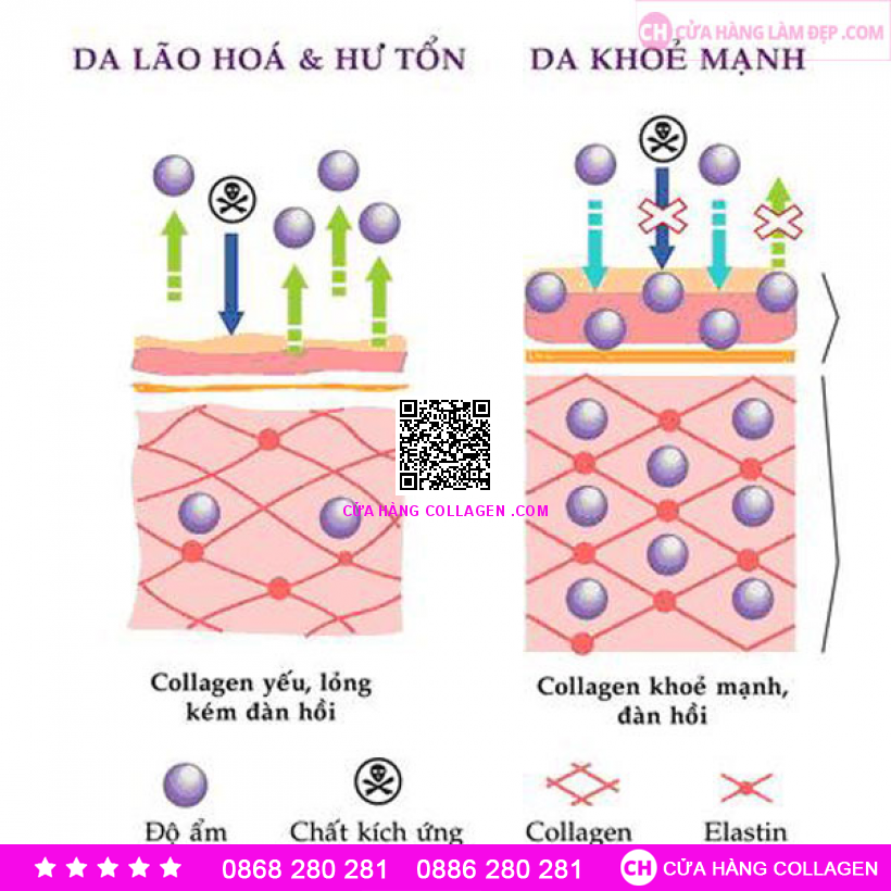 Fine Pure Collagen - Bí Quyết Sống Lâu Của Người Nhật